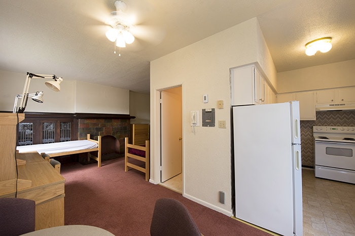 Shady Oak Studio Apartment Double - kitchen beds desks doorway to bathroom